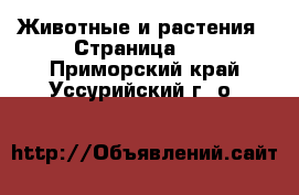  Животные и растения - Страница 24 . Приморский край,Уссурийский г. о. 